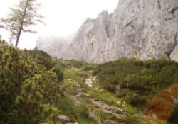 Regina-F-Rau_2013-08-15_Frohkostgipfel  (024).JPG